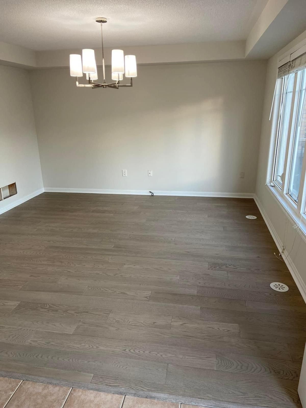 Deck & Fence Painting